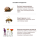 Фото Крем з муцином равлика і бджолиною отрутою Benton Snail Bee High Content Steam Cream, 50г 8809540510176 фото 3
