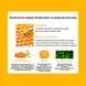 Фото Набір антиоксидантних масок з екстрактом прополіса Dr.Ceuracle Royal Vita Propolis Antioxidant Mask, 30 мл * 10 шт 8806133614426 фото 4