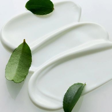Легкий солнцезащитный крем с матча SPF50+ PA++++ House of Hur Matcha Light Sun Cream, 50 мл Купить  оптом в Украине